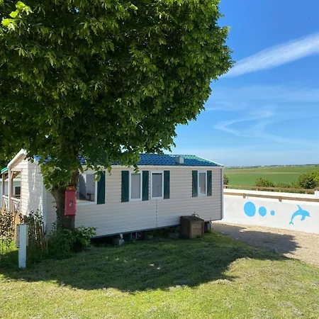 Camping Le Bellevue Proche De Royan *